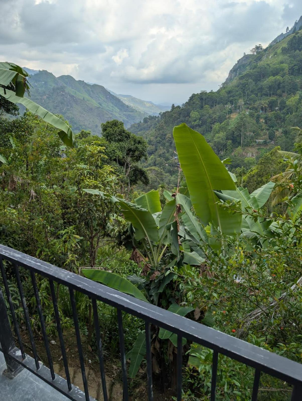 Chamodya Home Stay Ella Kültér fotó