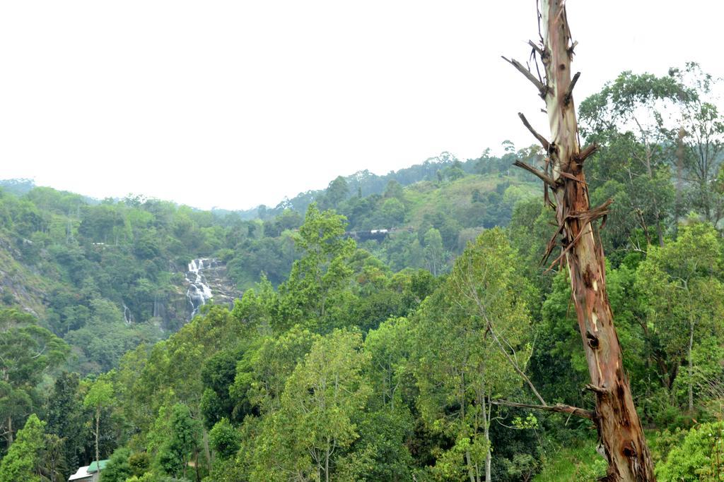 Chamodya Home Stay Ella Kültér fotó